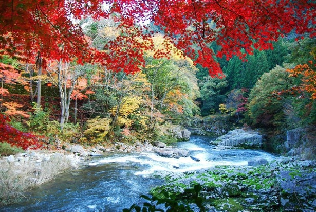 清らかな渓流を紅葉が彩る／奥津渓