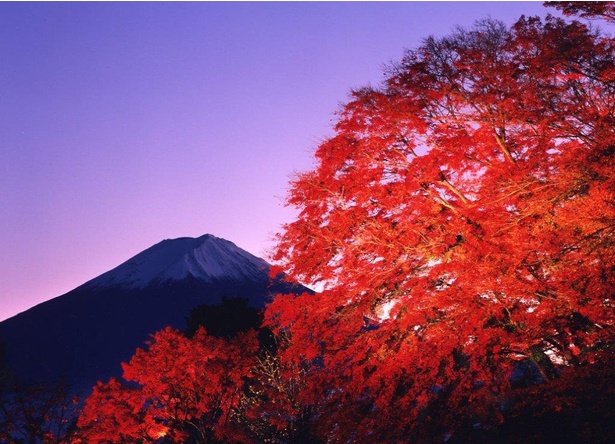 見頃を迎えそうな全国の紅葉名所をピックアップ(写真は河口湖の紅葉)