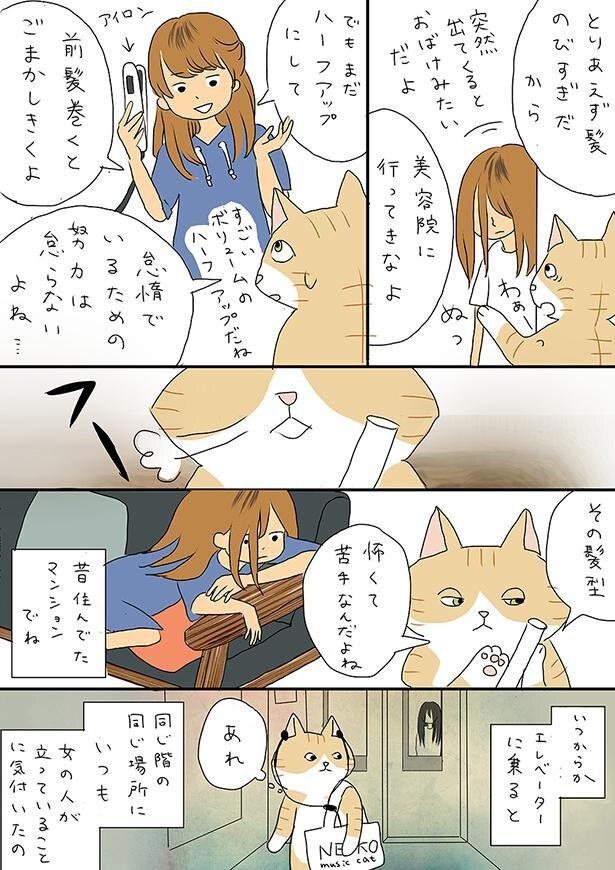 奥さんの髪型が苦手という夫。その理由は… キタハタエミ(@emi_kitahata)