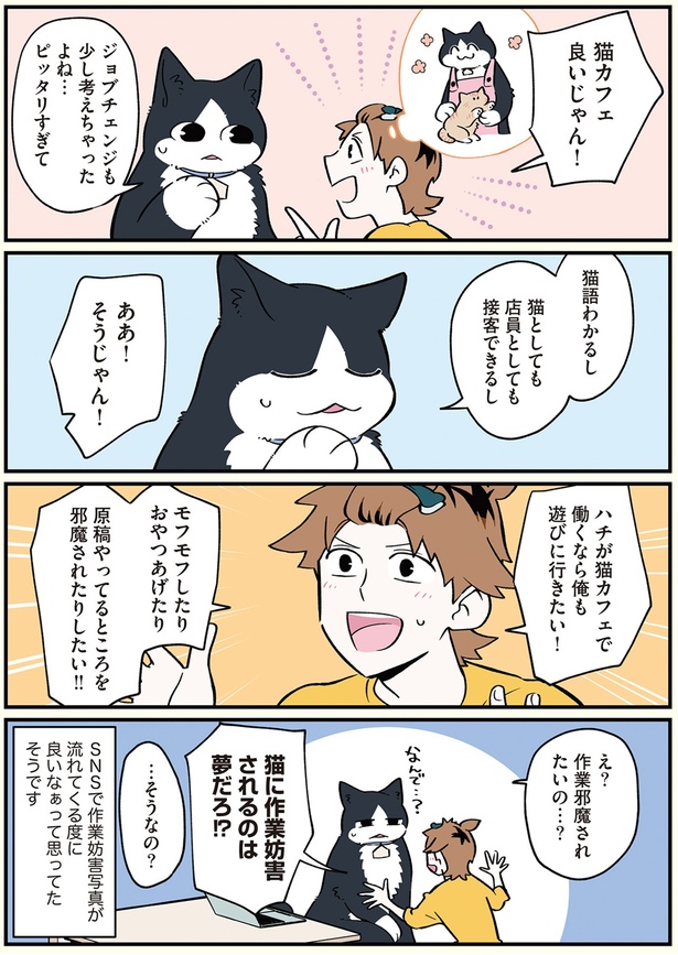 猫語わかるし （C）清水めりぃ／KADOKAWA