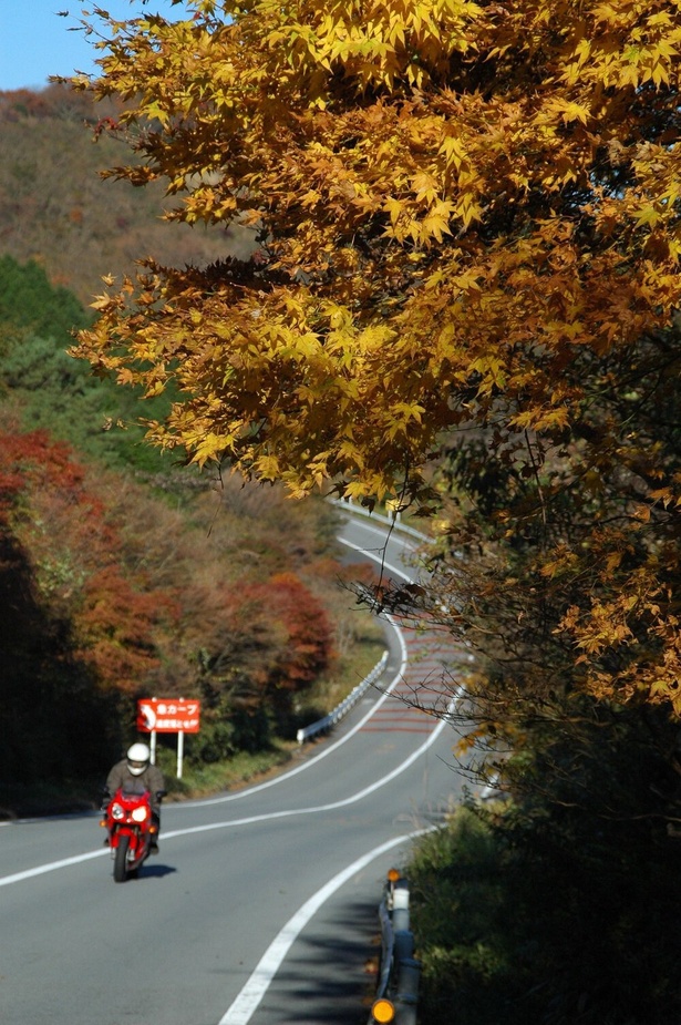 箱根小田原本線 12キロポスト付近／アネスト岩田ターンパイク箱根の紅葉