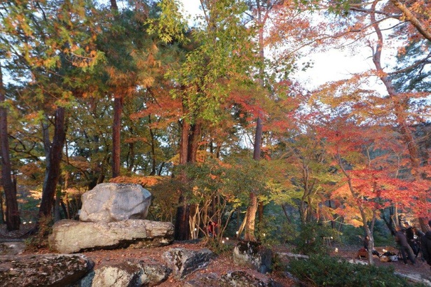 月の石もみじ公園内を紅葉が彩る／長瀞の紅葉