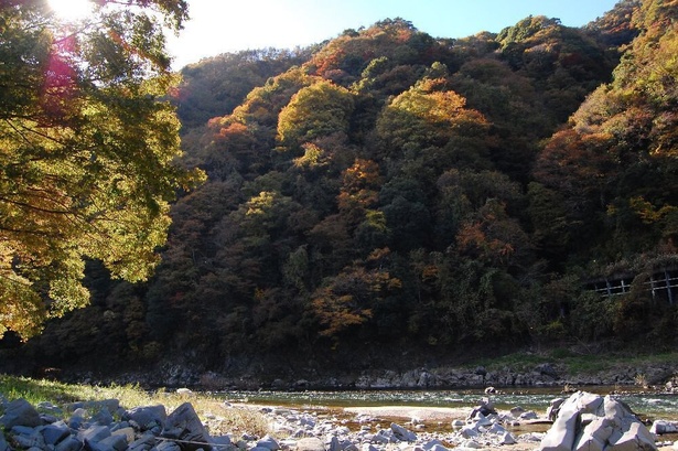 広く紅葉した風景が楽しめる／奥久慈渓谷の紅葉