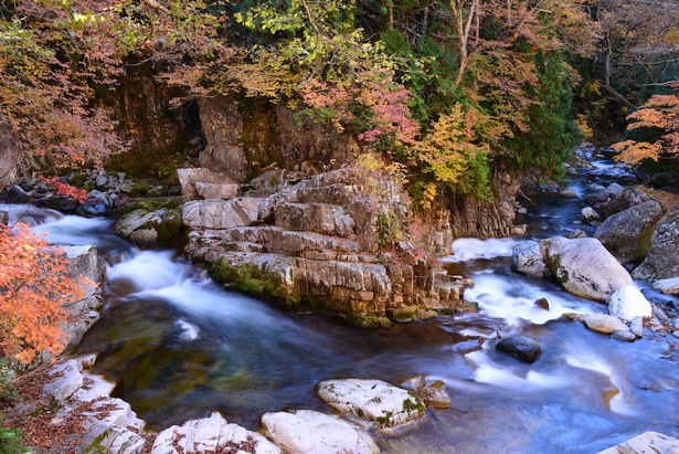 勢いよく下る清流と紅葉のコントラストが美しい／照葉峡の紅葉