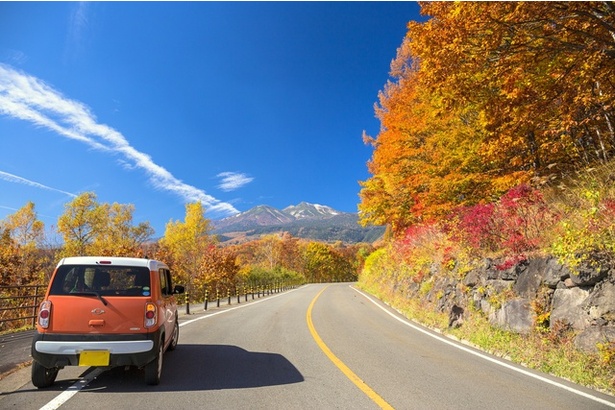 紅葉ドライブに出かけよう！車窓から眺める紅葉もまた格別