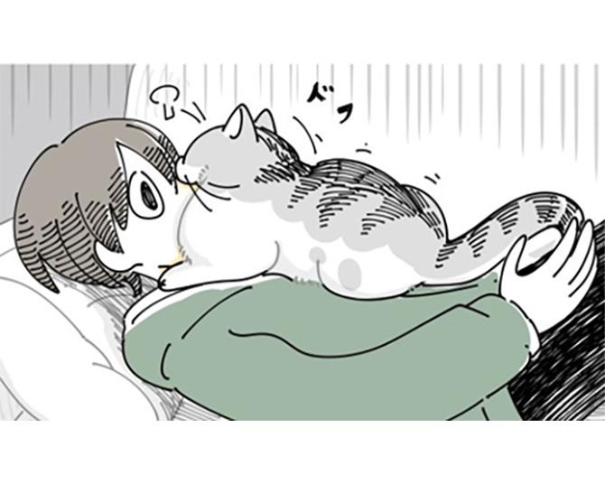 【ネコ漫画】大好きな飼い主に思い切り甘えたい愛猫!?その姿に「癒やされる」などSNSでコメント続出！