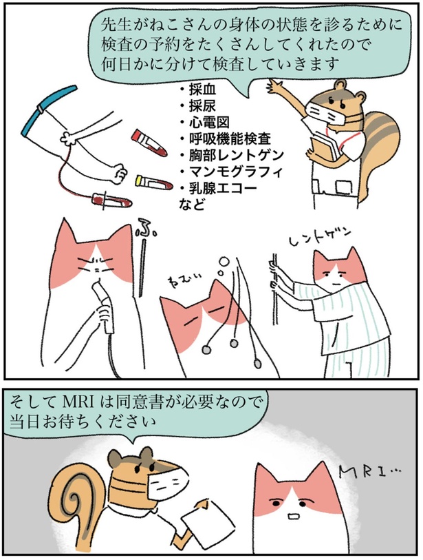 何日かに分けて検査していきます （C）小野マトペ、神保健二郎／KADOKAWA