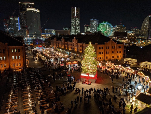 本物のモミの木を使用した高さ約10メートルのクリスマスツリーには、約2万球のLEDを装飾／Christmas Market (クリスマスマーケット) in 横浜赤レンガ倉庫