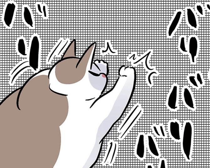 網戸を破壊!?「ベランダが大好きな猫」VS「床を汚されたくない飼い主」強行突破する猫の様子に思わずクスリ【作者に聞く】