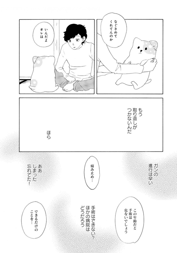 なぐさめてくれんのか （C）蒼星きまま／徳間書店