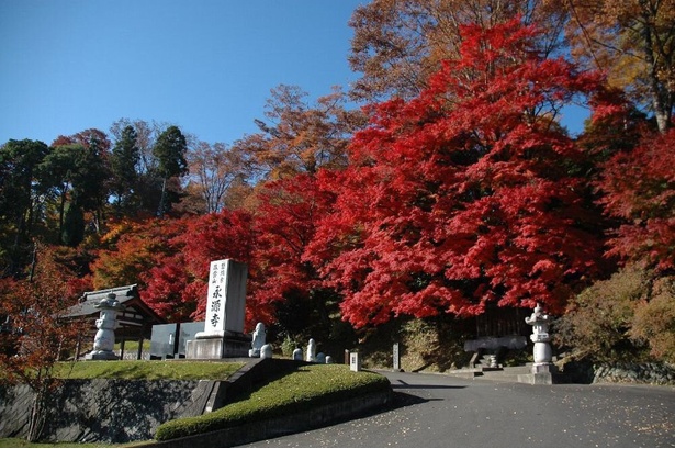 美しい秋を感じるモミジを楽しむ／永源寺(もみじ寺)