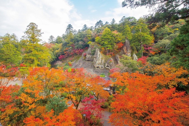 国名勝に指定されている奇岩遊仙境の展望は絶景／那谷寺