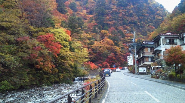 赤や黄色、オレンジに紅葉する様子は美しい／梅ヶ島温泉