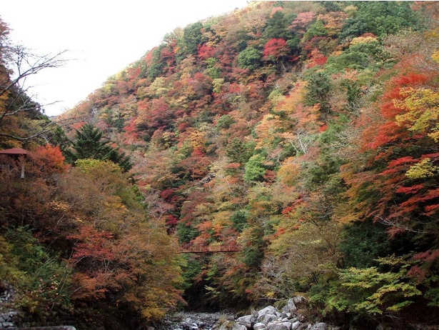 風情ある川のせせらぎと共に紅葉を楽しめる／べふ峡