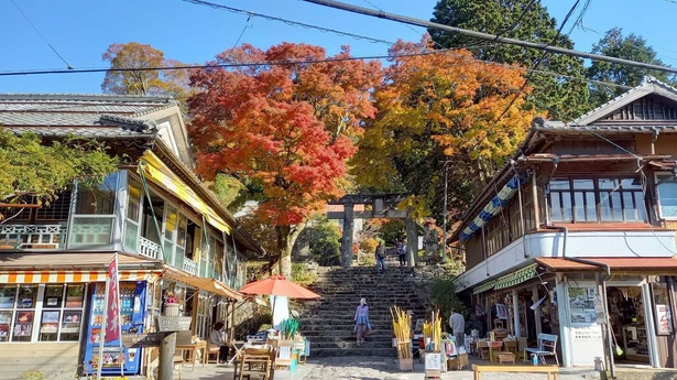 鳥居を彩る鮮やかな紅葉が見事だ／英彦山