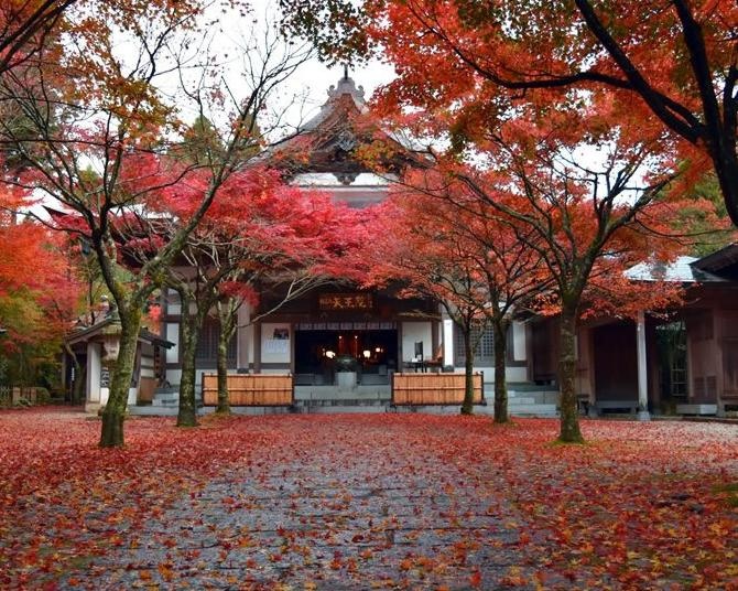 今週末(11月23日・24日)の紅葉見頃はここ！まもなく見頃を迎えそうな全国の紅葉名所ガイド