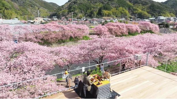 完全予約制の桜テラス「花絨毯」(写真は過去の様子)