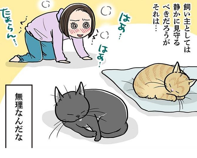 【ネコ漫画】寒くなってくると…つい欲望に負けてしまう飼い主の行動に「やりたいっ！」「変態全開で微笑ましい」の声【作者に聞いた】