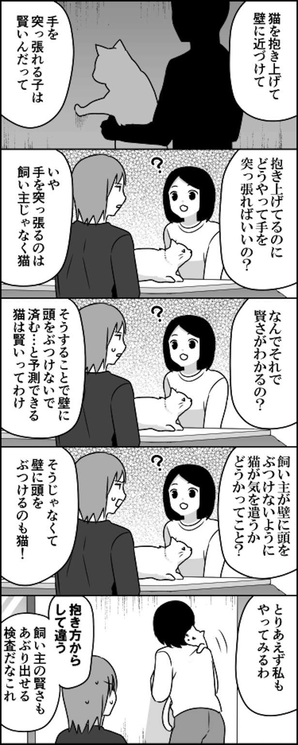 猫壁チャレンジ