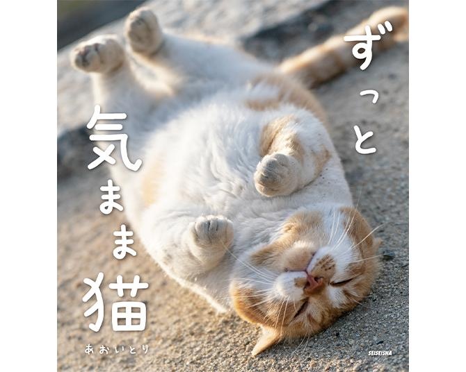 表紙は“地球を背負っちゃった猫”!?猫写真家・あおいとりによる、自然体の猫たちを季節感とともに写した新作写真集「ずっと気まま猫」が発売