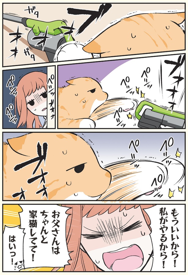 お父さんはちゃんと家猫してて！ （C）清水めりぃ／KADOKAWA