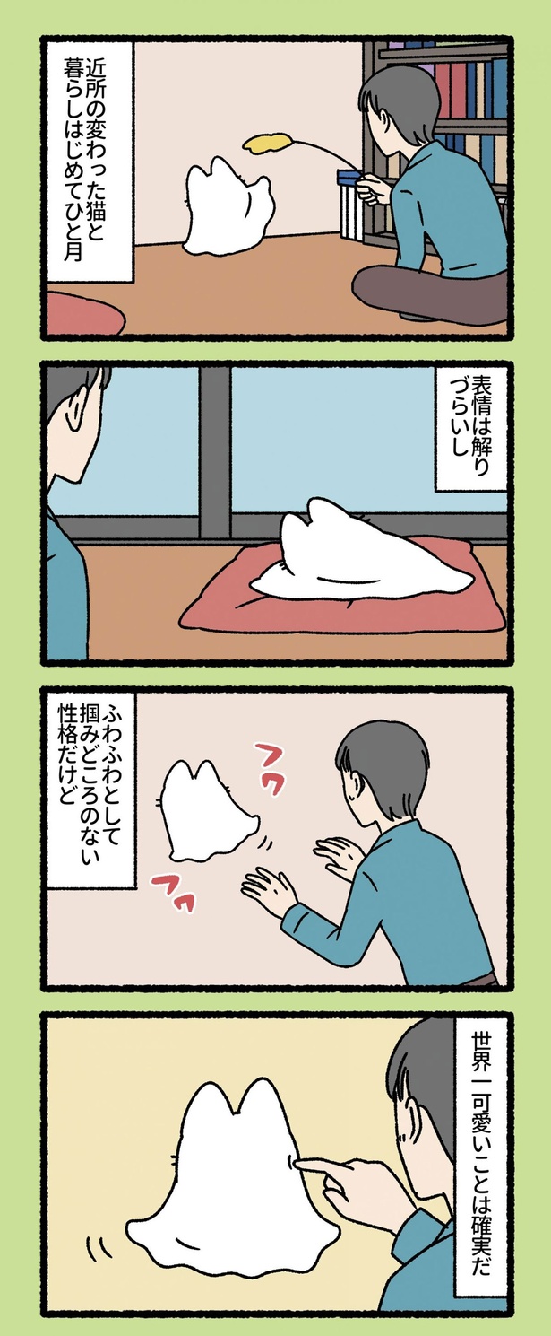 近所の変わった猫と暮らしはじめてひと月 （C）ぱんだにあ／竹書房