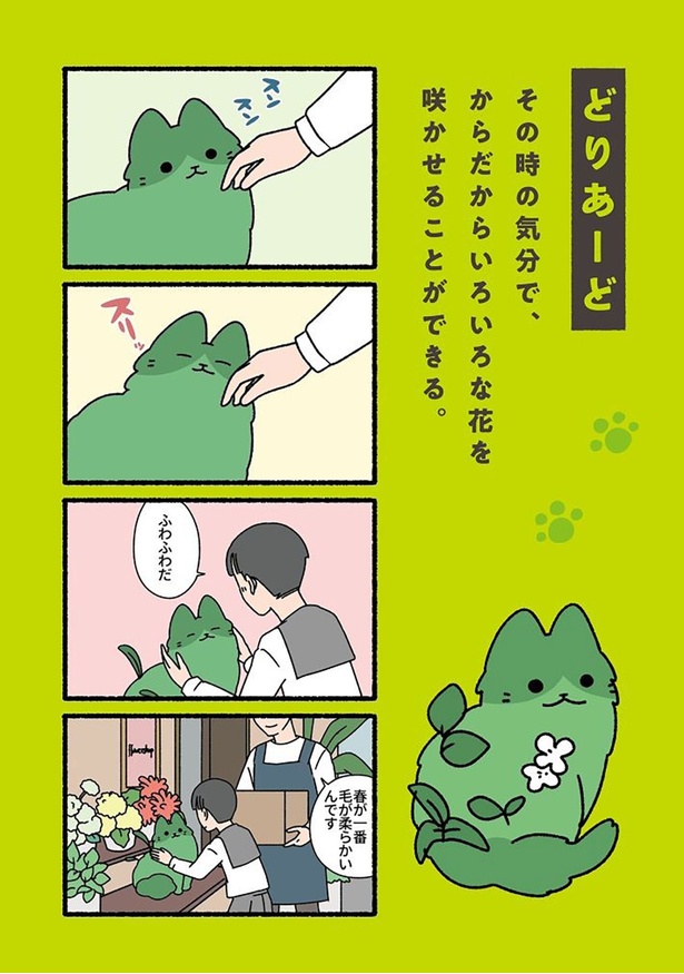 どりあーど （C）ぱんだにあ／竹書房