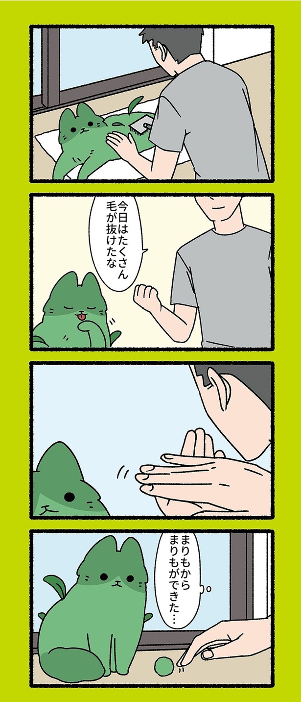 今日はたくさん毛が抜けたな （C）ぱんだにあ／竹書房