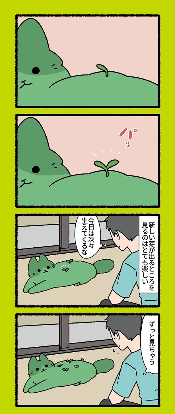 今日は次々生えてくるな （C）ぱんだにあ／竹書房