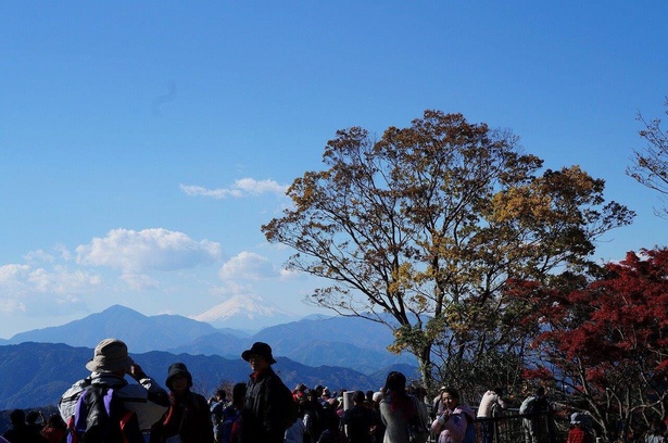 紅葉と富士山を同時に見ることができるときもある／高尾山