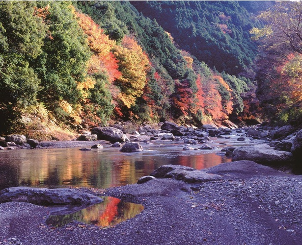 川面に紅葉が映し出される様は美しい／福士川渓谷