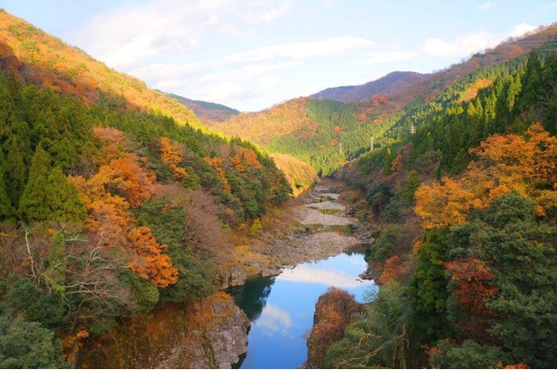 紅葉シーズンには峡谷の山並みが色鮮やかに彩られる／神通峡