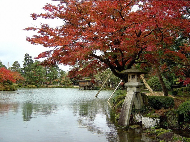 徽軫灯籠付近は水面に紅葉の色が水面に映り、趣きある風景になる／特別名勝兼六園