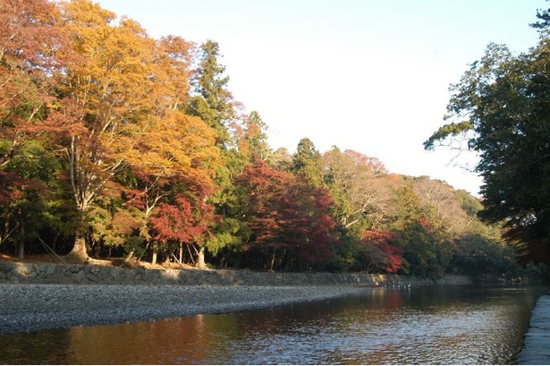 川面に映る紅葉の美しさに心を洗われる／伊勢神宮内宮神苑