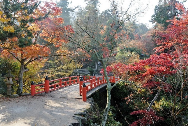 約700本の紅葉が園内一面を赤く彩る／宮島・紅葉谷公園