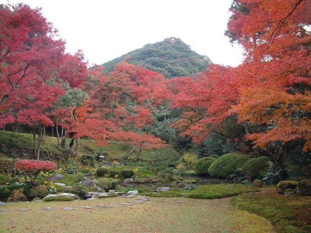 緑生い茂る庭園に赤い紅葉が色を添える／清水寺本坊庭園