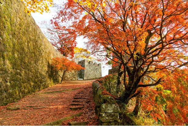 歴史情緒あふれる石垣と紅葉が織りなす見事な景観／竹田(岡城跡)