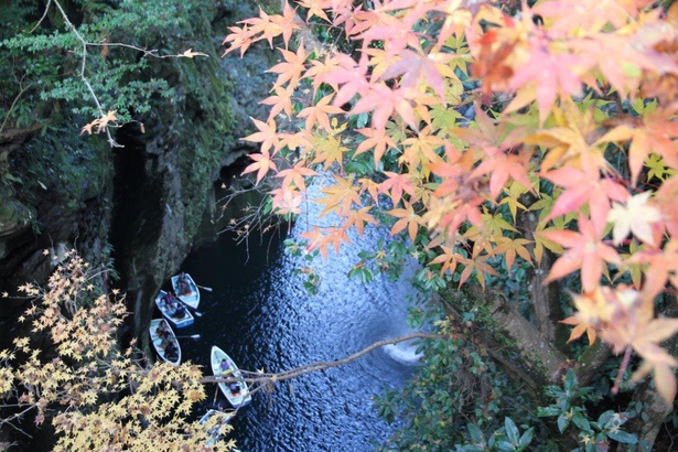 峡谷・滝・紅葉全てのバランスが美しい／高千穂峡