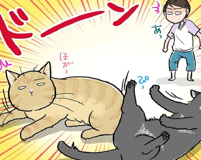 【ネコ漫画】思わず爆笑！猫の睡眠を奪ったのは花火の音!?3匹の猫たちそれぞれの反応すべてに癒やされる！と反響大【作者に聞いた】