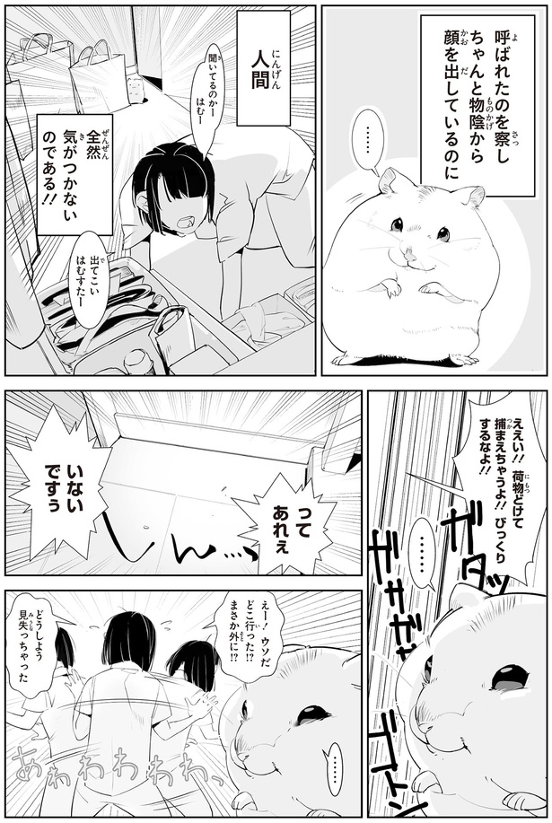 ちゃんと物陰から顔を出しているのに （C）はむはむ／KADOKAWA