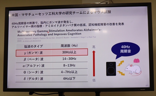 MITの研究から、40Hz周期の音や光の刺激がアルツハイマー型認知症へ作用する可能性が見えてきた