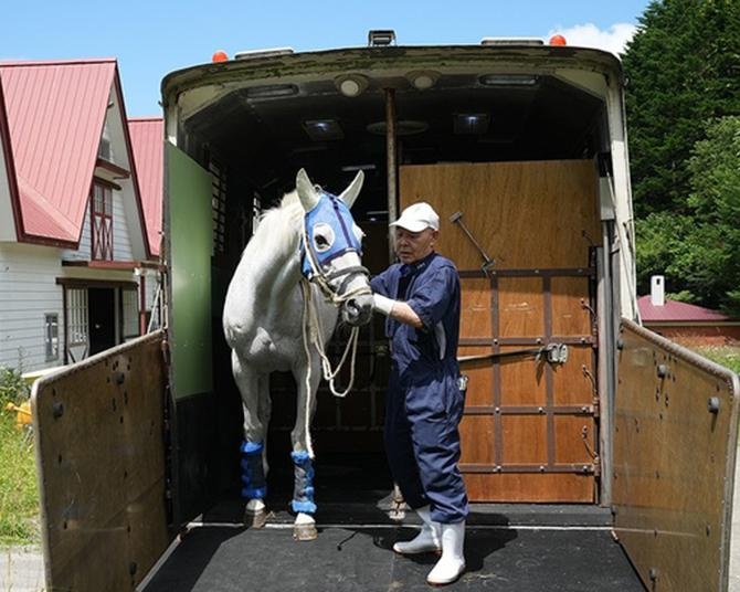 知られざる裏側！サラブレットたちを“とにかく丁寧に運ぶ”競走馬の輸送の世界とは