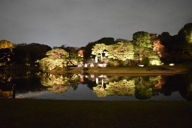 六義園夜間特別観賞(中の島)／六義園