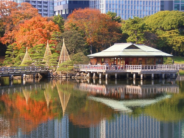 潮入の池周辺の紅葉／浜離宮恩賜庭園