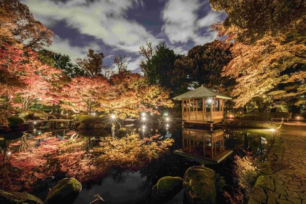 ライトアップで幻想的な雰囲気に包まれる園内／大田黒公園