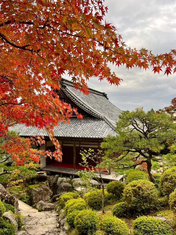 名刹と紅葉のコラボレーションが美しい／湖東三山 百済寺(国史跡)