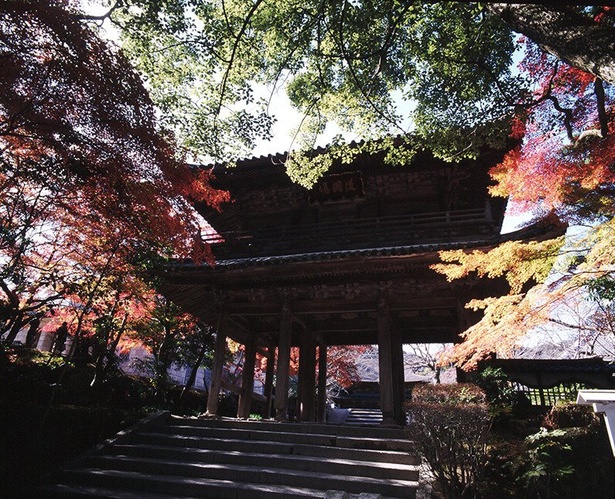 山門の周りも美しく色付いた木々が多くある／功山寺