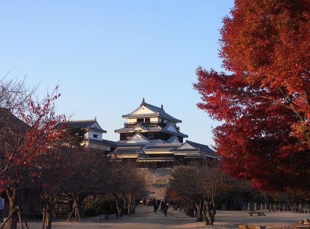 天守を背景にした紅葉や天守からの眺望が楽しめる／松山城