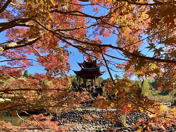 中国風庭園 冠嶽園と紅葉する山々との景色は絶景／冠岳