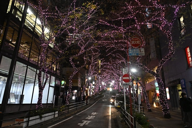 SHIBUYA WINTER ILLUMINATION 2024-2025 さくら坂イルミネーション